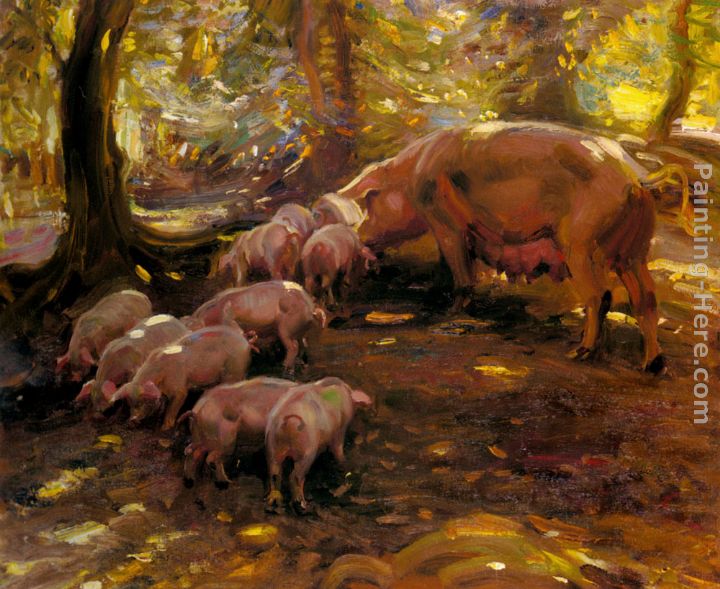 Pigs In A Wood, Cornwall painting - Sir Alfred James Munnings Pigs In A Wood, Cornwall art painting